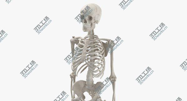 images/goods_img/20210312/3D Real Human Woman Skeleton Bones Anatomy  With Intervertibral Disks 01 White model/3.jpg